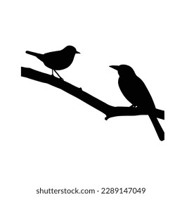 a beautiful bird silhouette. Isolated vector ,bird illustration