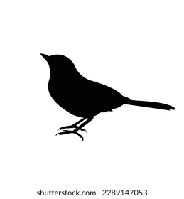 una bonita silueta de pájaro. Vector aislado, ilustración de pájaro