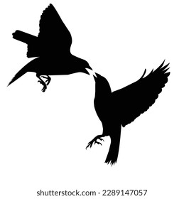 una bonita silueta de pájaro. Vector aislado, ilustración de pájaro