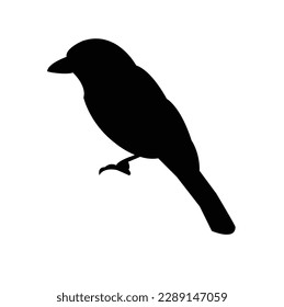 una bonita silueta de pájaro. Vector aislado, ilustración de pájaro