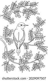 A beautiful bird is sitting on a branch of a blooming tree in flowers. Coloring page for children and adults. Vector illustration.