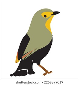 
un pájaro hermoso y un pájaro pequeño
