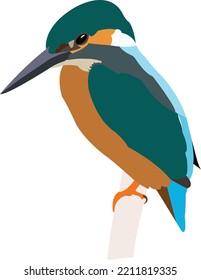 Beautiful Bird vector art work