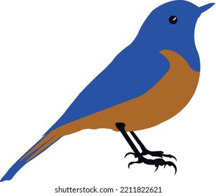 Hermosa obra de arte vectorial de aves