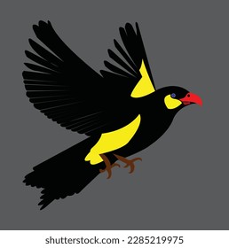 a beautiful bird vector art work,bird vector illastration