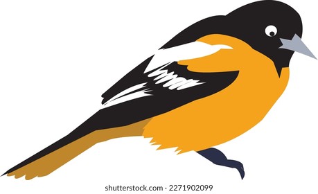 a beautiful bird vector artwork