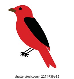 a beautiful bird vector artwork