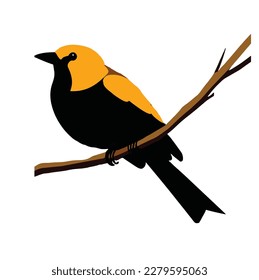 a beautiful bird vector artwork