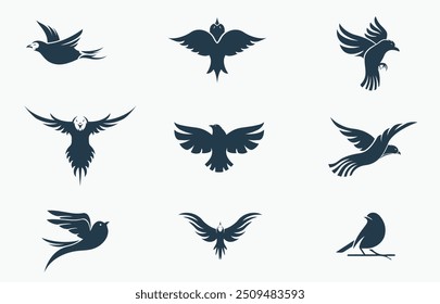 Beautiful bird wings and Bird silhouette collection on a white background
