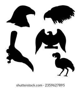 Beautiful birds and eagle head vector silhouette's illustration.