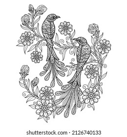 Beautiful birds. Hand drawn sketch illustration for adult coloring book