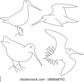 Beautiful Birds Line Art Design Hand Drawing Sketch Vector illustration For Adult And Kids Coloring Book