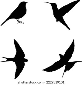 Beautiful birds Silhouette Vector Art