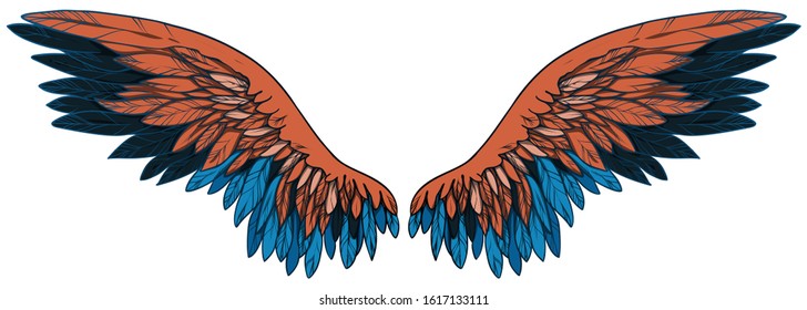 Beautiful black blue orange wing, hand drawn, vector