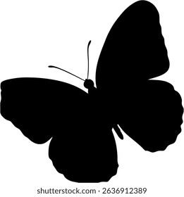 beautiful Black Butterfly Silhouette image 