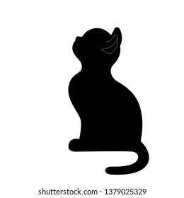 beautiful black cat
