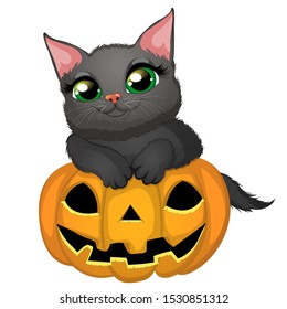 Beautiful black cat with halloween pumpkin isolated on white background. Cartoon vector illustration.EPS10