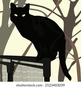 Beautiful Black Cat Setting On A Fence