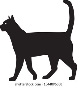 beautiful black cat in vector