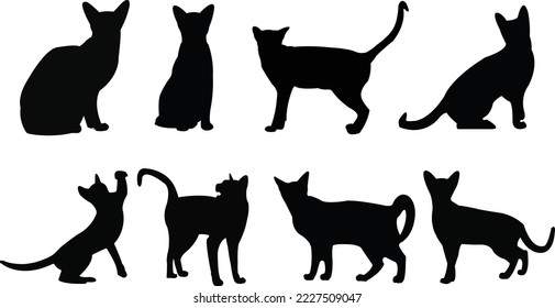 Beautiful black cat  vector silhouette art