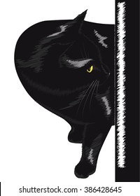 Beautiful black cat with yellow eyes peeking from the corner. Vector illustration