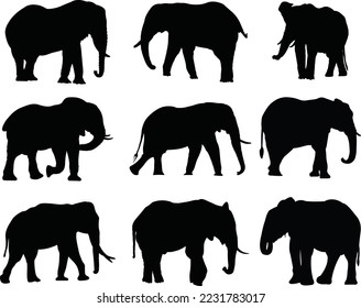 Hermoso arte vectorial de elefantes negros. Este es un archivo vectorial de eps editable e imprimible.