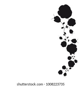 beautiful black flowers, isolated on a white