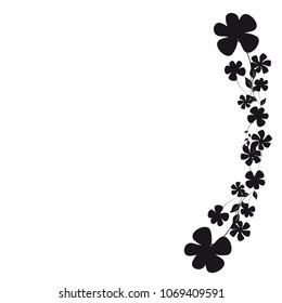beautiful black flowers, isolated on a white