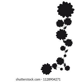 beautiful black flowers, isolated on a white