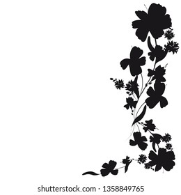 beautiful black flowers, isolated on a white