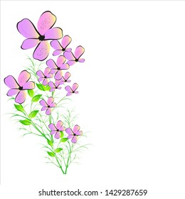 beautiful black flowers, isolated on a white