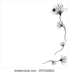 beautiful black flowers, isolated on a white