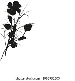 beautiful black flowers, isolated on a white