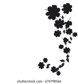 beautiful black flowers, isolated on a white