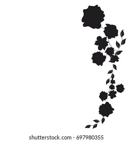 beautiful black flowers, isolated on a white