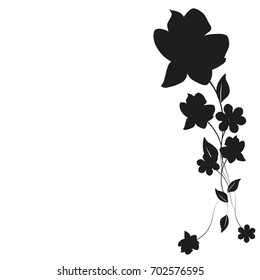 beautiful black flowers, isolated on a white