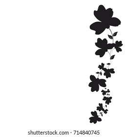 beautiful black flowers, isolated on a white
