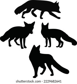 beautiful black fox vector art icons and graphics.