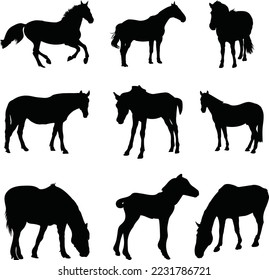 Beautiful black horse silhouette vector art. This is an editable vector eps file.