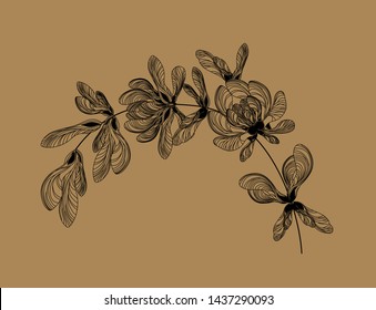 Beautiful black line horizontal composition of maple branch on a natural background. Ethnic floral motif made from natural elements.  