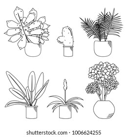 Beautiful black outline of different plants in pots vector illustration
