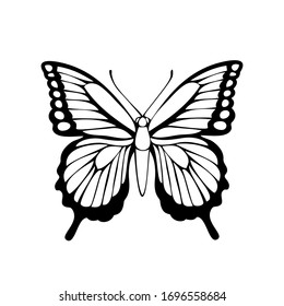 Butterfly Drawing Images, Stock Photos & Vectors | Shutterstock