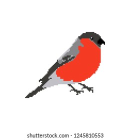 Beautiful black red bird. Bullfinch. Pixel Art. The symbol of Christmas. New Year 2019.