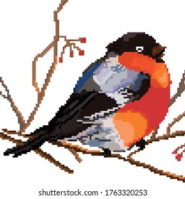 Beautiful black red bird. Bullfinch. Pixel Art. 