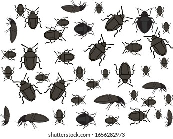 Hermosos bugs de arroz negro, vector