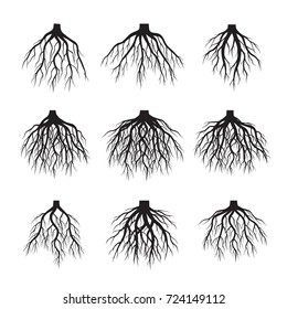 Beautiful Black Roots Tree. Vector Illustration.
