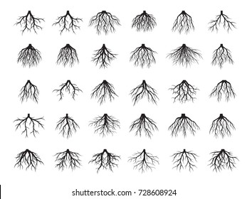 Beautiful Black Roots Tree. Vector Illustration.