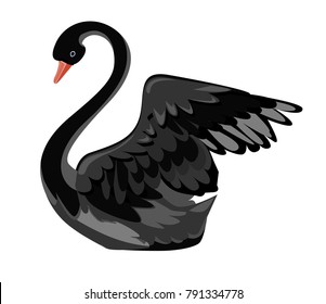 Beautiful black swan. Cartoon cute swan vector illustration.