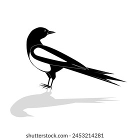 Beautiful black and white bird, male Oriental Magpie Robin logo icon design vector illustration in simple minimalist style