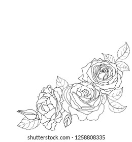 Beautiful black and white bouquet rose and leaves. Floral arrangement isolated on background. Design greeting card and invitation of the wedding, birthday, holiday. Vector illustration. 